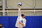 Volleyball vs RWU  Wheaton Women’s Volleyball vs Roger Williams University. : Volleyball, VB